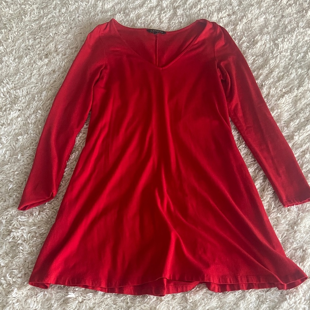 Express long sleeve dress